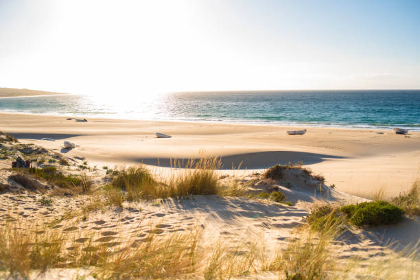 istock Bolonia beach, in Tarifa, southern Spain 1359791201