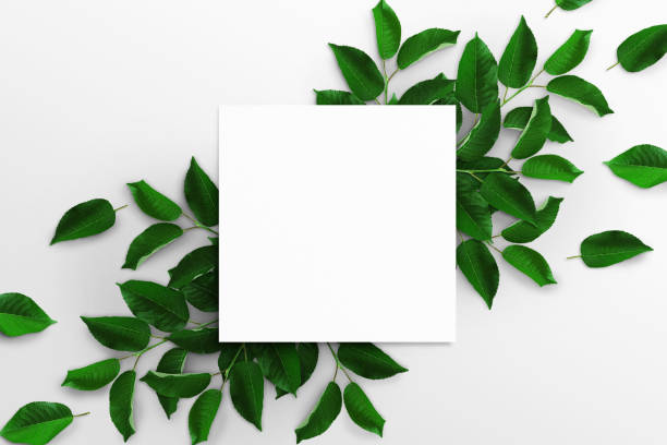 istock Tree branches with green leaves and empty white square watercolor sheet of paper on a white background. Advertising board, poster mockup for your design. Flat lay, top view, copy space 1359791969