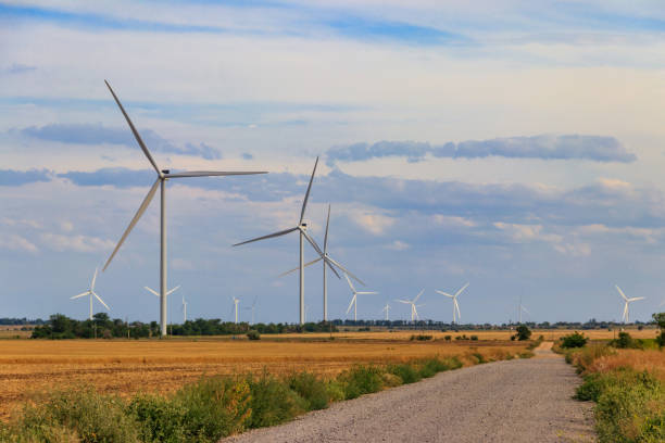 istock Wind turbines in a field. Renewable energy 1359793024