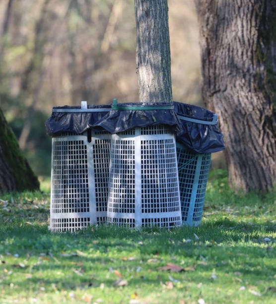 istock containers with black waste bags 1359794896
