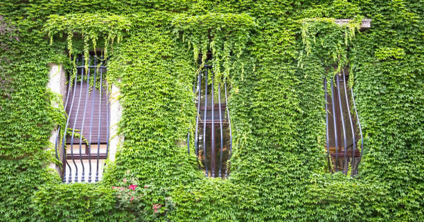 istock Green Real Estate 1359797555
