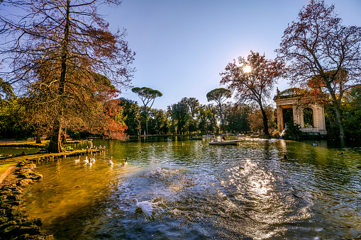 A suggestive and peaceful autumn wide view of Lake Villa Borghese, in the green and historic heart of Rome. On the right, the Ionic-style Temple of Aesculapius, built in 1785 in the gardens of the lake. Considered the green lung of Rome, Villa Borghese is the largest public park in the city with almost 80 hectares of extension, where residents and tourists can spend hours of relaxation and silence among tree-lined avenues, ponds and Italian and English-style gardens surrounded by trees and ancient pines. The area of the Villa Borghese includes the extension of ancient gardens the of the Borghese family since 1580, while the current arrangement of the park was completed in 1903 in neoclassical style. In 1980 the historic center of Rome was declared a World Heritage Site by Unesco. Super wide angle image in high definition format.