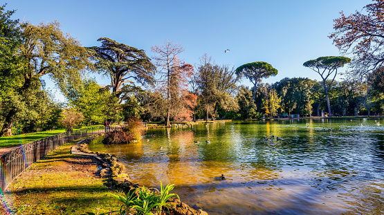 A suggestive and peaceful autumn wide view of Lake Villa Borghese, in the green and historic heart of Rome. Considered the green lung of Rome, Villa Borghese is the largest public park in the city with almost 80 hectares of extension, where residents and tourists can spend hours of relaxation and silence among tree-lined avenues, ponds and Italian and English-style gardens surrounded by trees and ancient pines. The area of the Villa Borghese includes the extension of ancient gardens the of the Borghese family since 1580, while the current arrangement of the park was completed in 1903 in neoclassical style. In 1980 the historic center of Rome was declared a World Heritage Site by Unesco. Super wide angle image in high definition and 16:9 format.