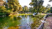 istock A suggestive and peaceful autumn view of the Lake of Villa Borghese in the green heart of Rome 1359797884