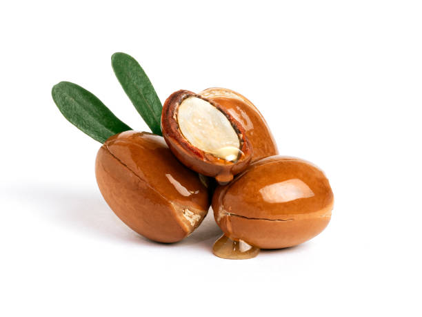 istock Three argan nuts with green leaves on an isolated white background. Chopped argan nut with a drop of oil. Whole and half Moroccan Argania Spinosa seeds for the production of oil 1359799721