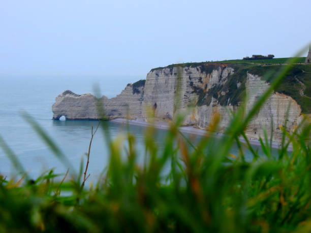 gras am rand der klippe - cliff at the edge of grass sea stock-fotos und bilder