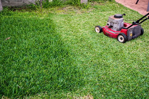 lawn mowing a backyard with lawn mower in progress. Half of the grass trimmed and half is still long.. Green background