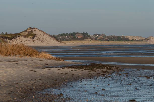 Dune landscape in the north of Germany