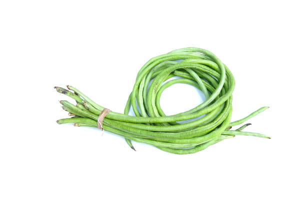 Asparagus bean or yardlong bean fresh vegetable isolated on white background