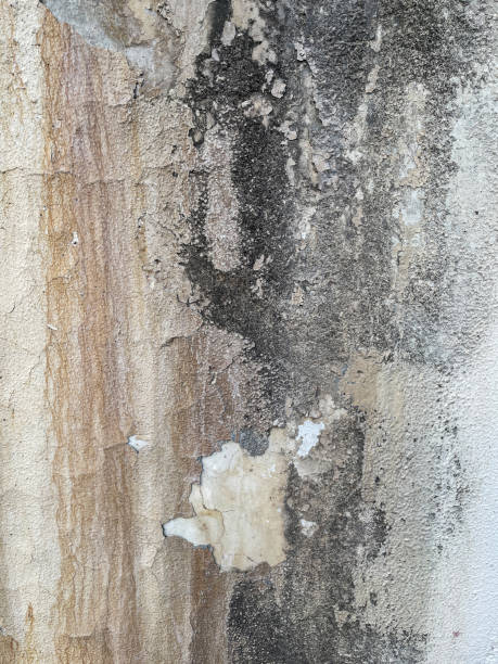 istock texture of a wall in bad condition, with spalling, chips, peeling, cracks and damp stains, humidity signals 1359804085