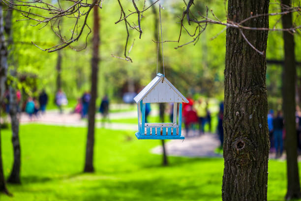 kleines vogelhaus im park an einem warmen, sonnigen tag.  konzept der annäherung an frühling, sommer, ankunft der vögel, frühlingsstimmung. tierschutz. - birdhouse animal nest house residential structure stock-fotos und bilder