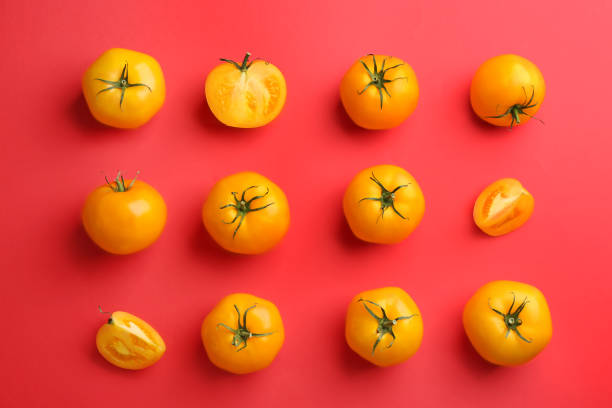 istock Yellow tomatoes on red background, flat lay 1359804285