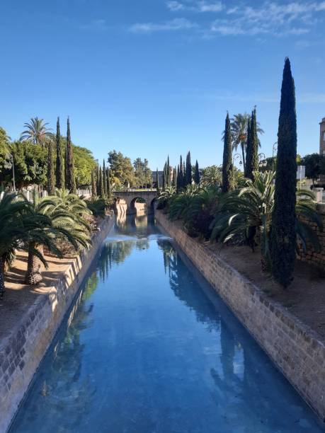 istock Street of Palma de Mallorca. 1359806366