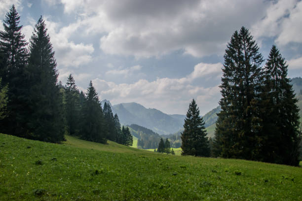 istock Beautiful swiss spring landscape near Santis. 1359809114