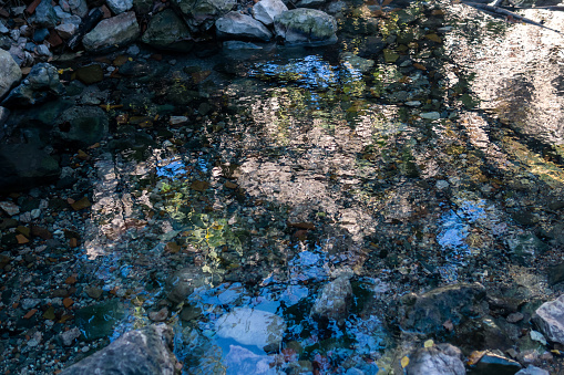 natural spring with clear water among stones in a shady forest