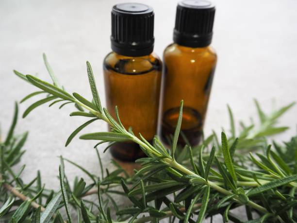 istock Two essential oil bottles and fresh rosemary leaves. Aromatherapy image. 1359811789