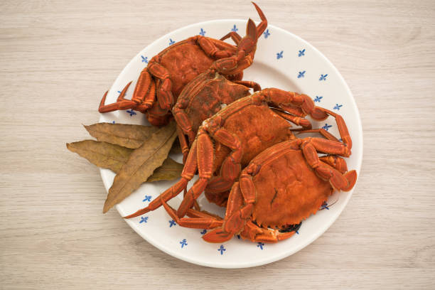 Cooked crabs on a plate accompanied by bay leaves