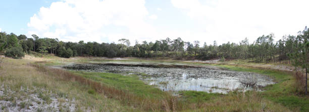 istock Lake in Gold Head Branch State Park 1359815000