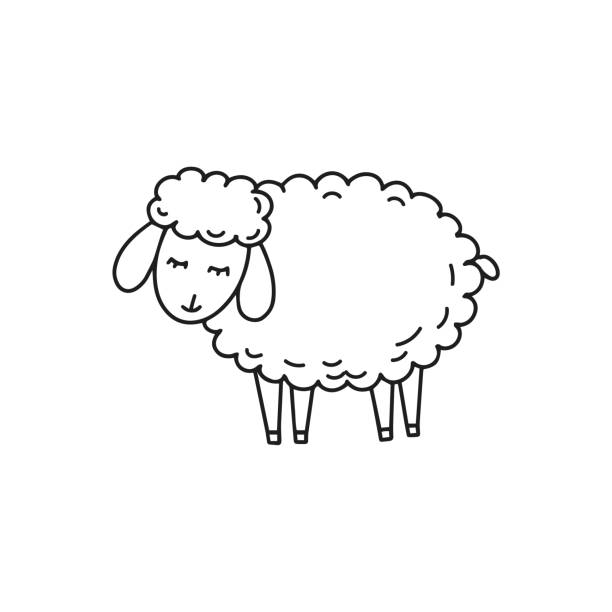 Vector Cartoon Of Sheep And Wool Products Illustrations, Royalty-Free  Vector Graphics & Clip Art - iStock