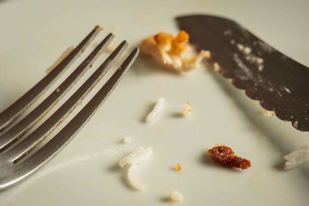 istock leftover meal food on empty plate with fork and knife 1359817988