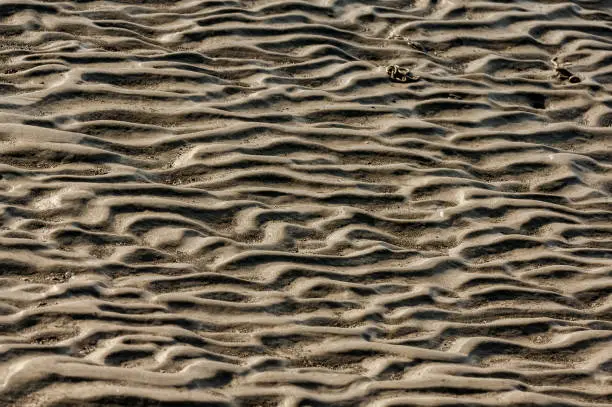 Diagonal view of the mudflats on the North Sea coast in the UNESCO World Heritage "Wadden Sea Nature Park"