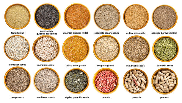 istock various grains, seeds and nuts in bowls with names 1359820443