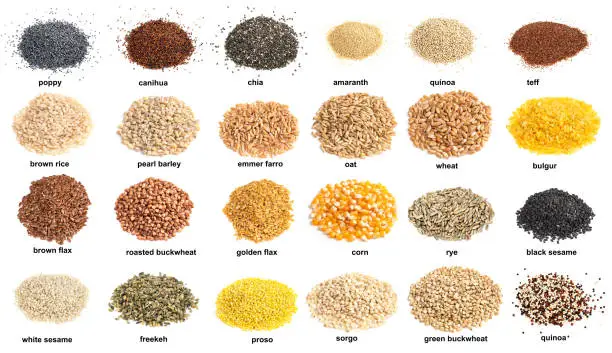 Photo of set of piles of variuos edible grains cutout