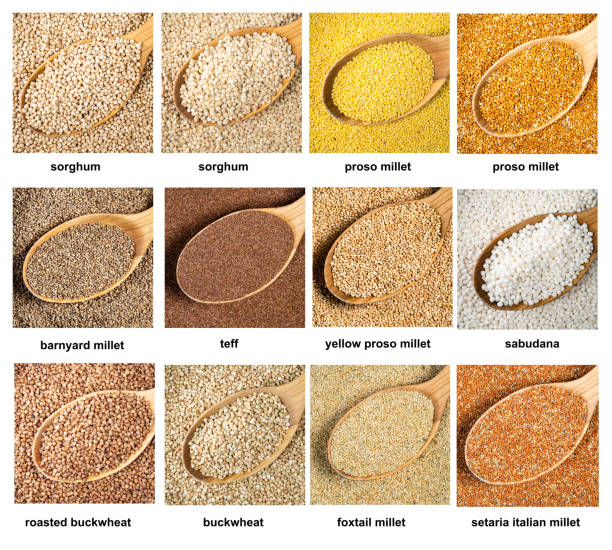 set of various grains in wood spoons closeup stock photo