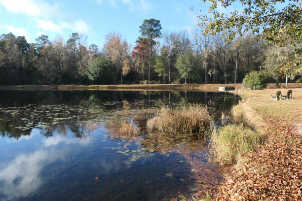 istock Poinsett State Park, South Carolina 1359820804