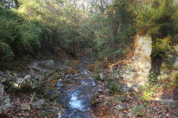 istock Old Canal and ruins at Poinsett State Park 1359821422