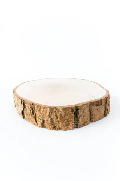 Freshly cut slice of wood with bark isolated on white background. Low angle view.