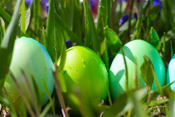 istock Easter green eggs in the green grass in spring 1359822110