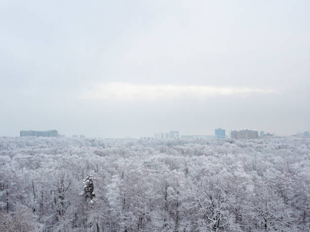 Photo of overcast sky over snow-covered city park and city