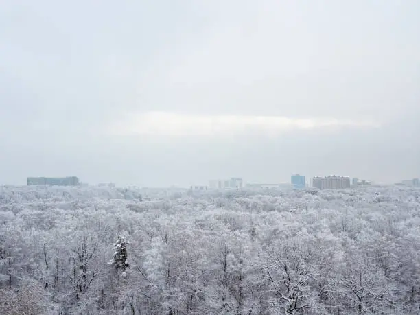 Photo of overcast sky over snow-covered city park and city