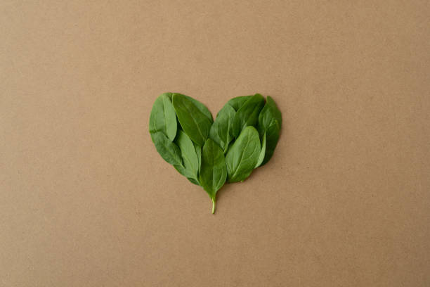 зеленое сердце на фоне крафт-бумаги. форма сердца в свежих зеленых листьях шпината. валентинка в экологически чистом веганском стиле. конце - heart shape grass paper green стоковые фото и изображения