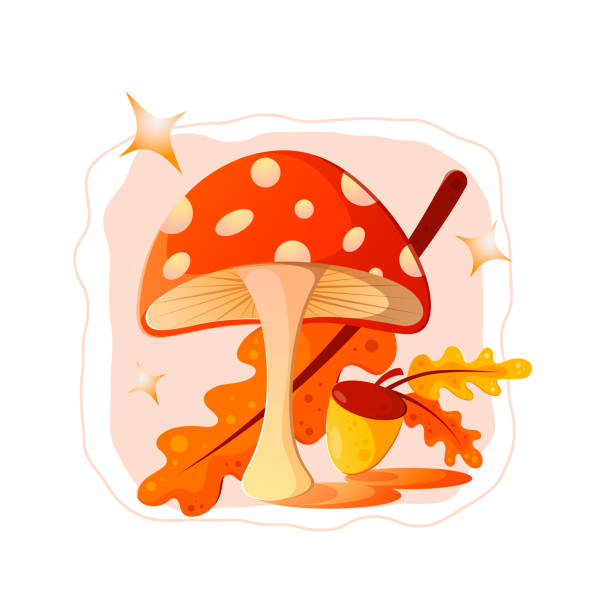 ilustrações de stock, clip art, desenhos animados e ícones de mushroom fly agaric with acorn - mushroom toadstool moss autumn