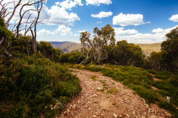 istock Mount Buller Walking and Biking Trails in Summer 1359825296