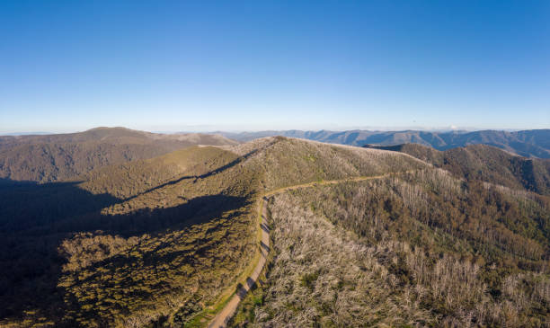 istock Mt Buller Summer Aerial Views 1359825323