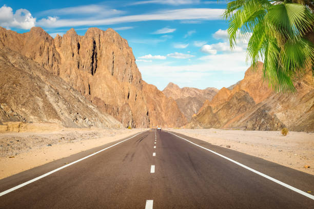 Road in the desert of Egypt at sunset