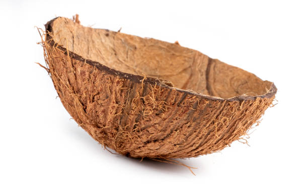 istock Coconut fruit shell cut in half isolated on white background 1359828060