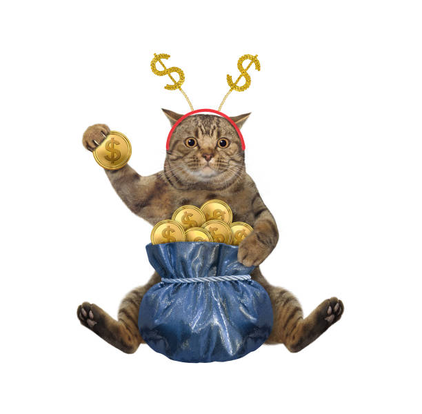 istock Cat with gift bag of gold dollars 2 1359828743