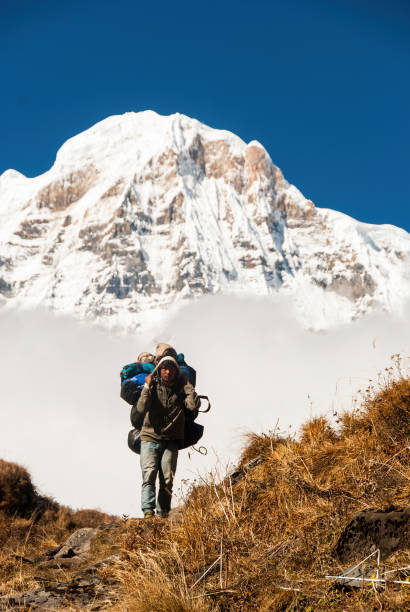 носильщик в горах аннапурна - annapurna range стоковые фото и изображения