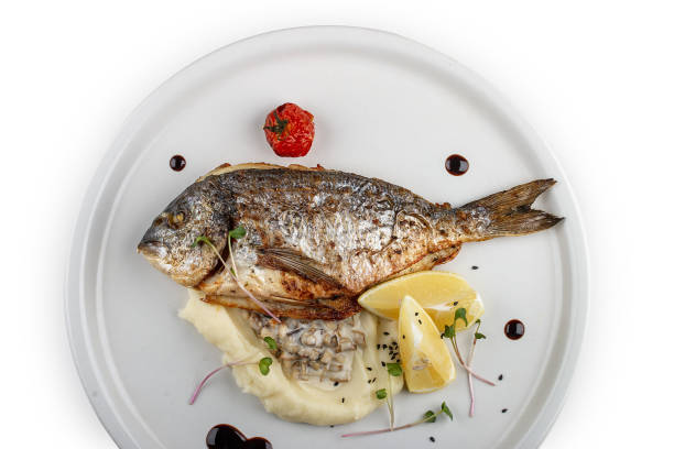istock Dorado with mashed potatoes and creamy mushroom sauce. Isolated on a white background. 1359830408