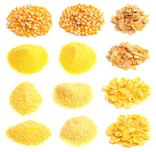 set of various maize corns in piles cutout on white background