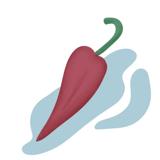 Vector illustration of Fresh hot red chili peppers on background