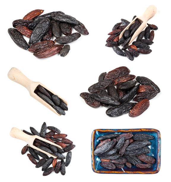 istock set of various tonka beans cutout on white 1359831457