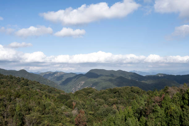 istock Green Mountain forest under blue sky and white clouds 1359831678