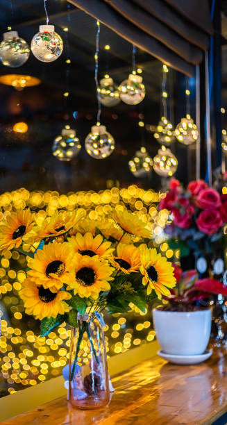 スコシアバンクサドルドーム イラストのストックフォト iStock