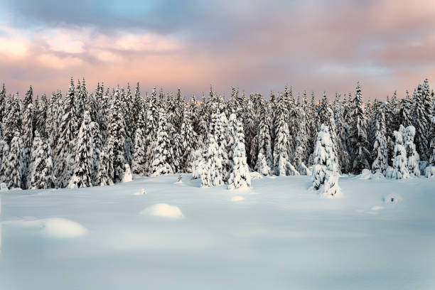 istock Colorful sunset over winter landscape with snow covered forest . 1359833993