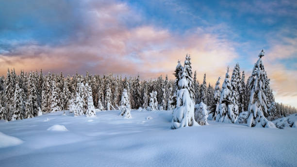 istock Colorful sunset over winter landscape with snow covered forest . 1359833994